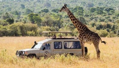 Africa-safari-tours-960x636-min-960x636